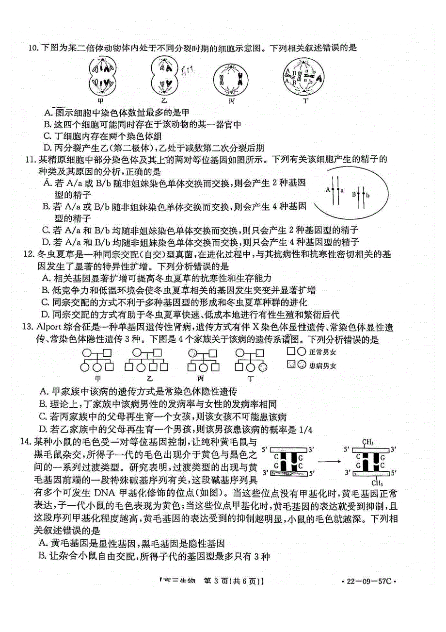 福建省南平市2022届高三上学期10月联考生物试题 PDF版含答案.pdf_第3页