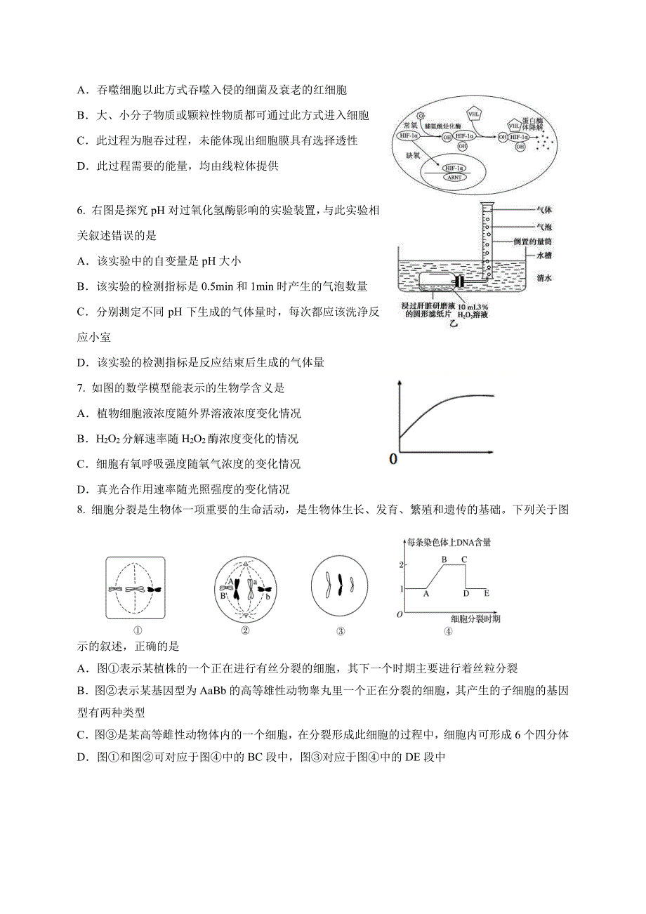 江苏省清江中学2021届高三10月月考生物试卷 PDF版含答案.pdf_第2页