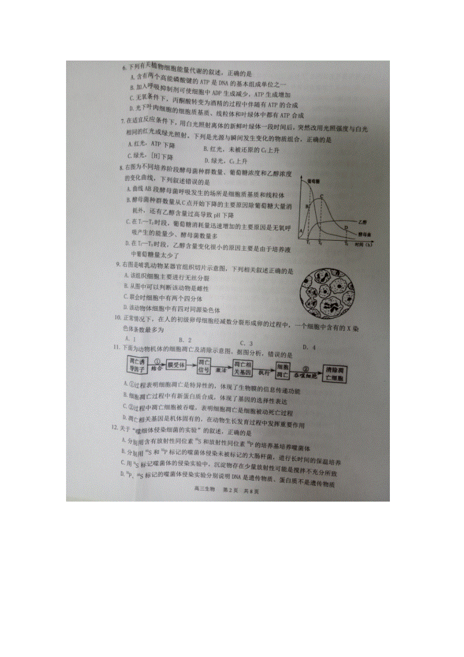 江苏省溧阳市2018届高三上学期阶段性调研测试生物试卷 扫描版含答案.doc_第2页