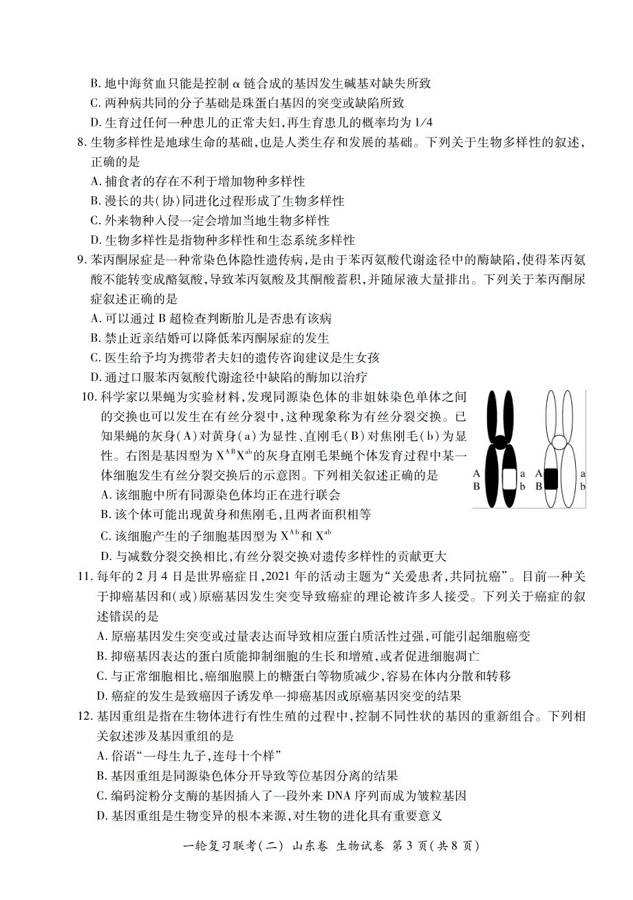 山东省2022届高三上学期11月一轮复习联考（二）生物试卷 PDF版含答案.pdf_第3页