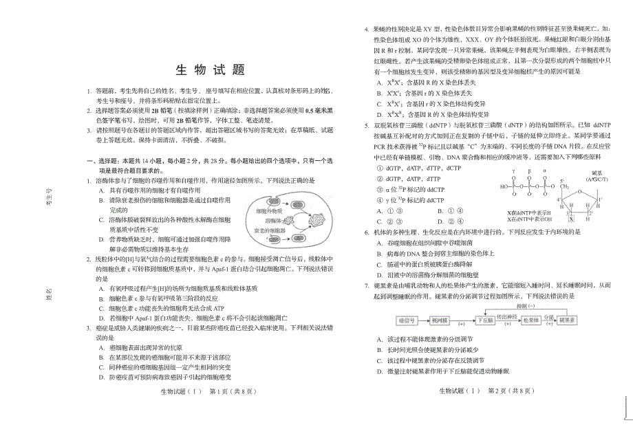 山东省2020届高三12月联考生物试卷 PDF版缺答案.pdf_第1页