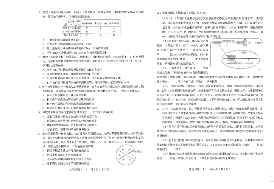 山东省2020届高三12月联考生物试卷 PDF版缺答案.pdf_第3页