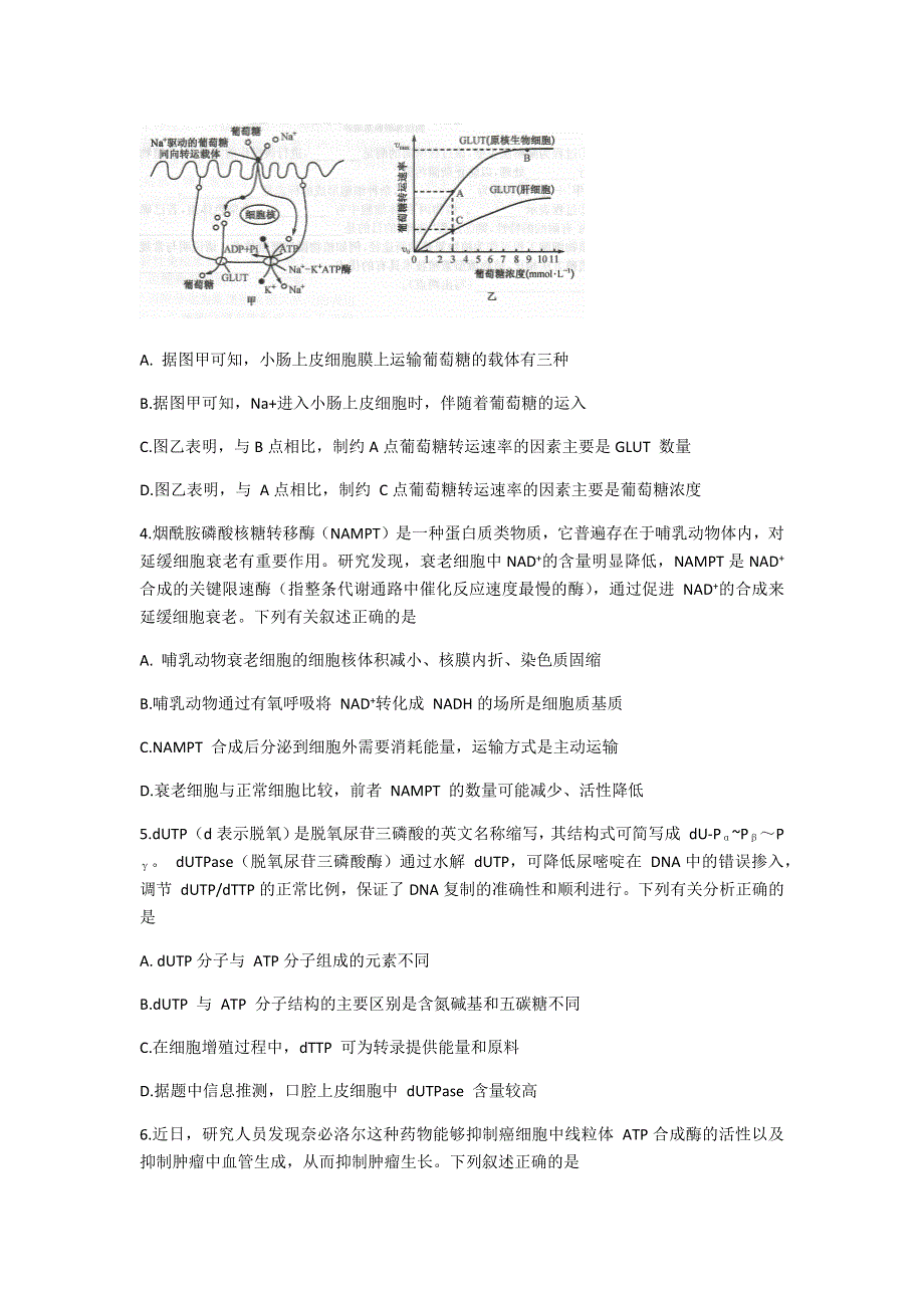 八省联盟2021届高三湖北省新高考适应性测试卷（一）生物试题 WORD版含答案.docx_第2页