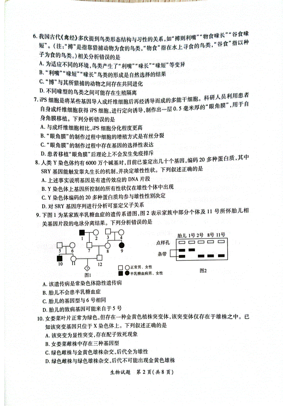 福建省厦门市2022届高三毕业班第四次质量检测生物试题 PDF版含解析.pdf_第2页