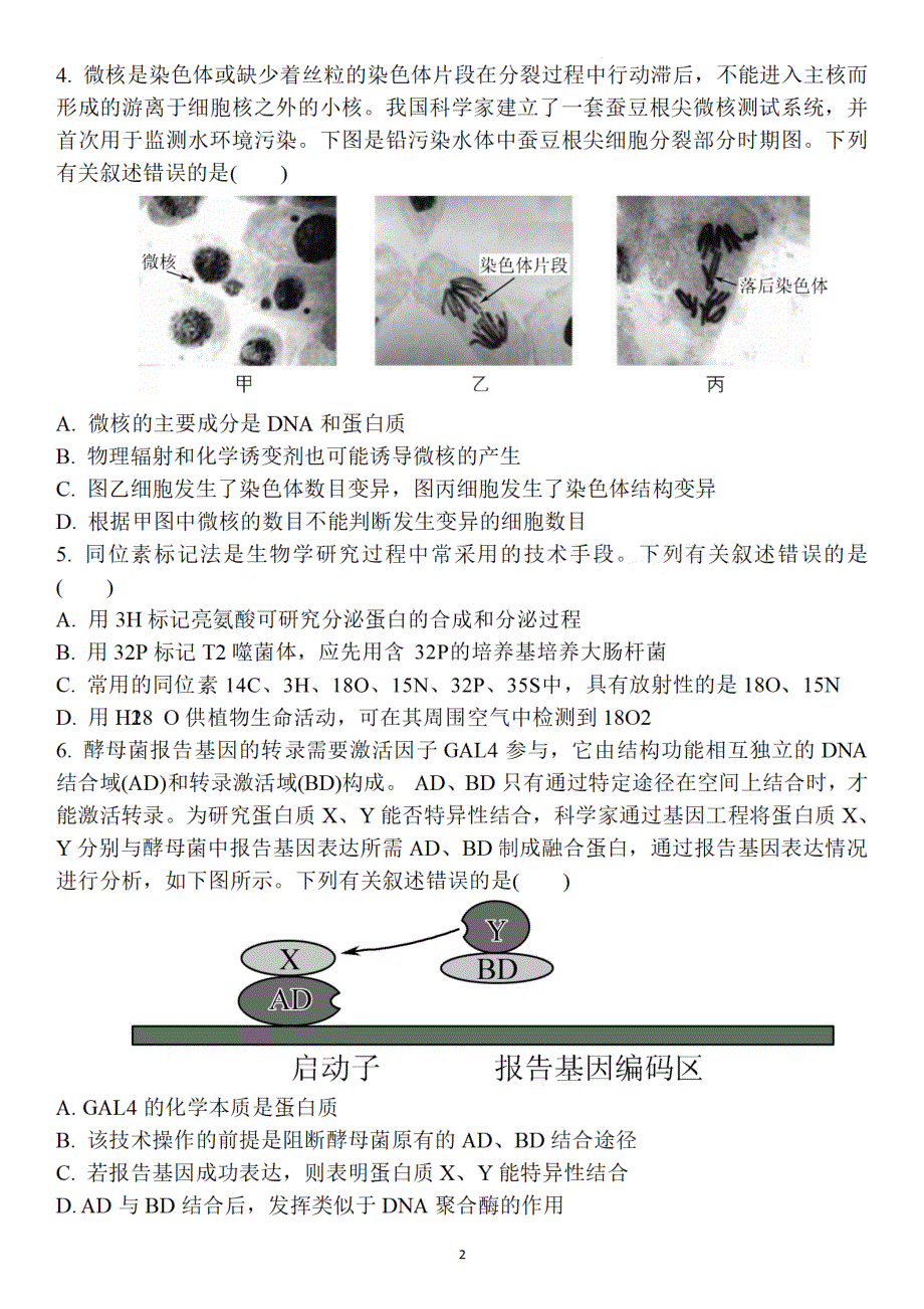 江苏省盐城市2022届高三年级第三次模拟考试-生物试题 PDF版含解析.pdf_第2页