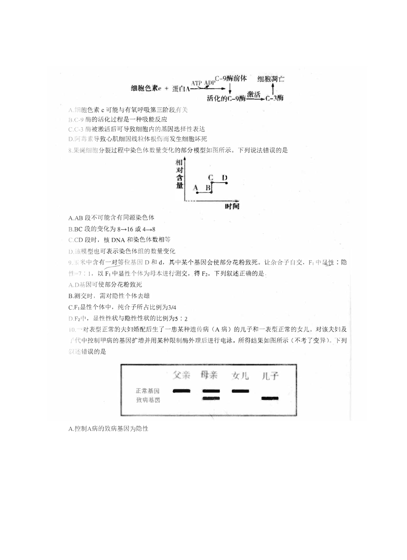 山东省德州2023-2024高三生物上学期适应性联考模拟预测(1)试题(pdf).pdf.pdf_第3页