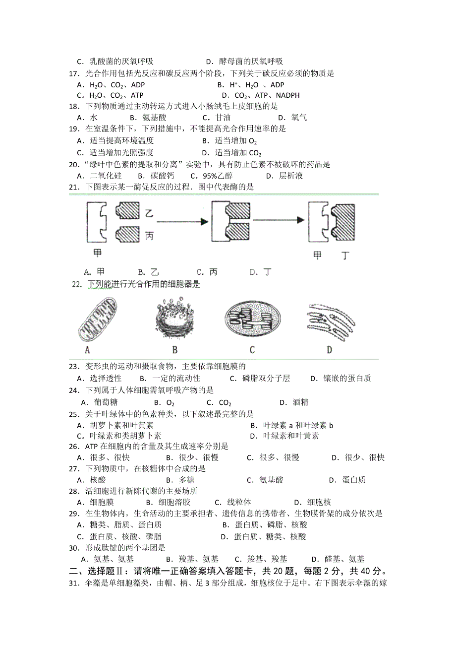 浙江省桐乡一中2012-2013学年高二上学期期中生物文试题 WORD版含答案.doc_第2页