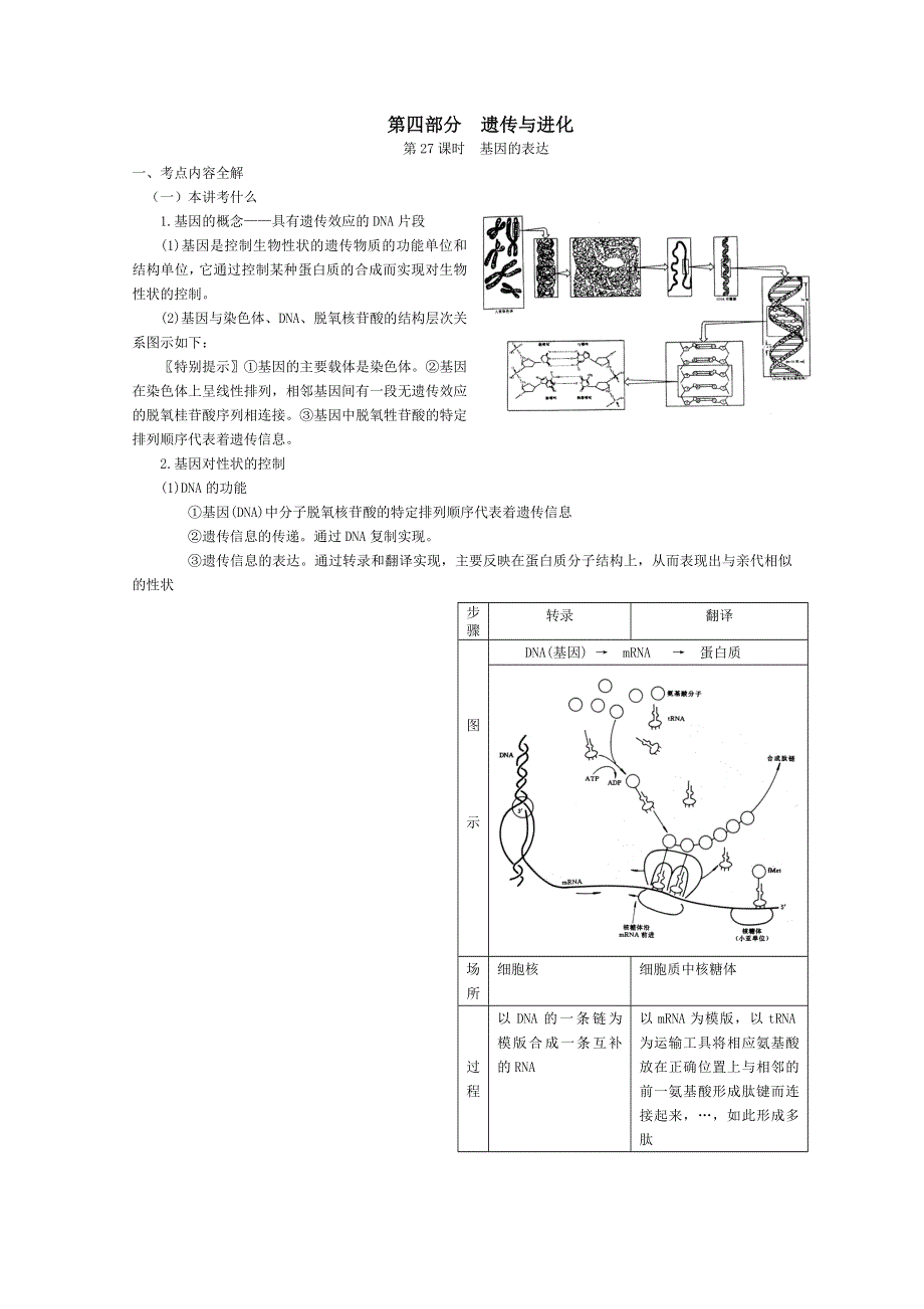 高三生物第一轮复习(旧人教)基因的表达.doc_第1页