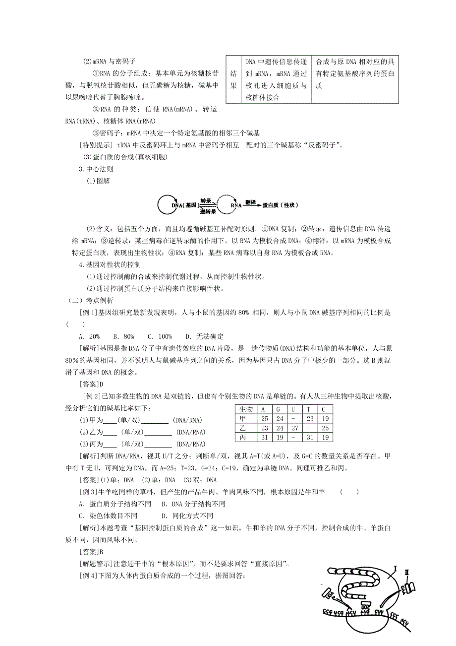 高三生物第一轮复习(旧人教)基因的表达.doc_第2页