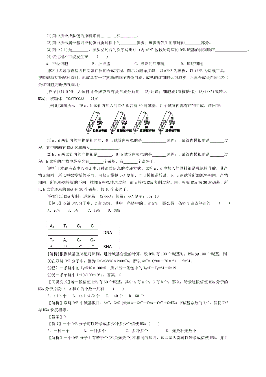 高三生物第一轮复习(旧人教)基因的表达.doc_第3页