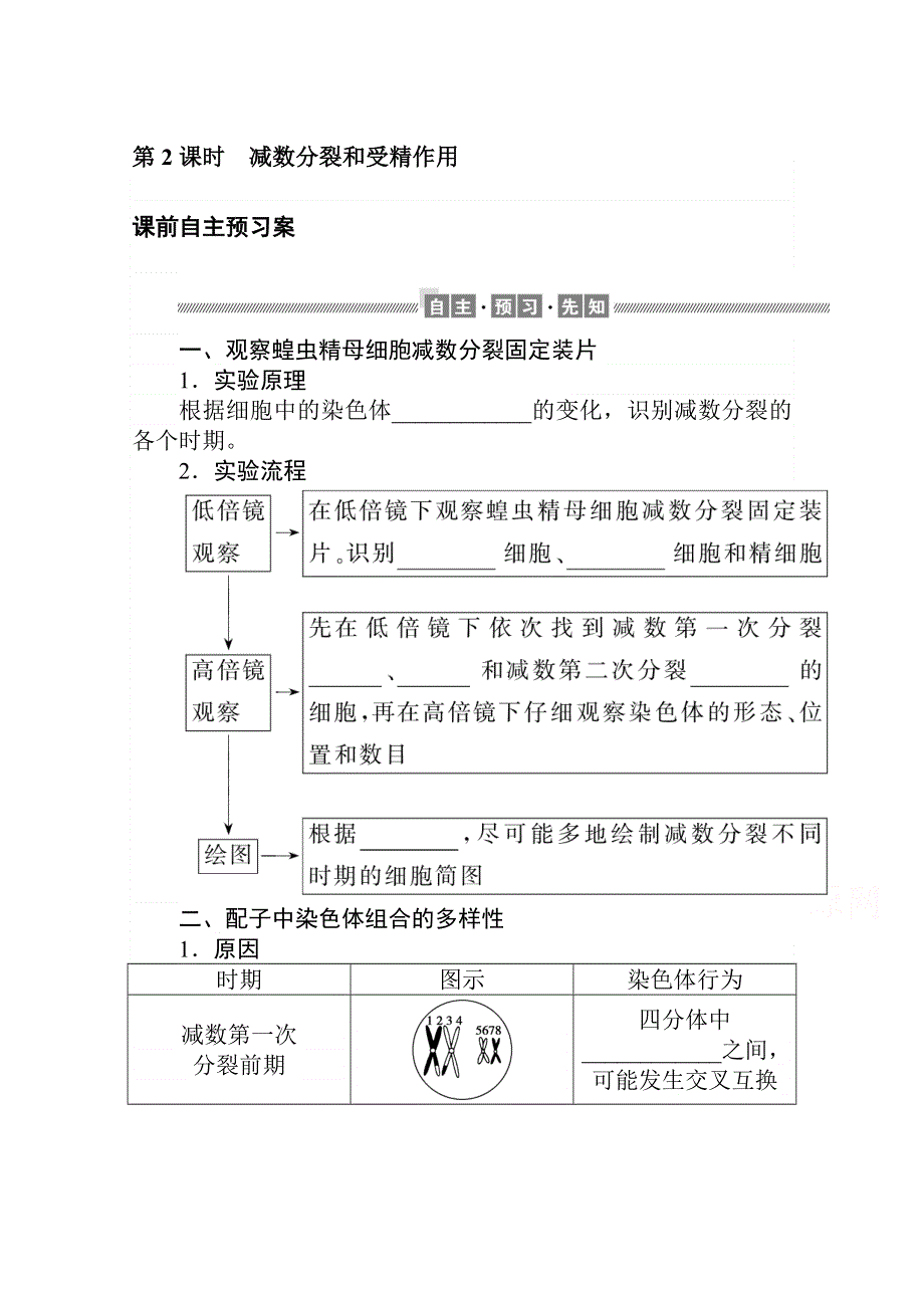 新教材2020-2021学年生物高中人教版（2019）必修2学案： 2-1-2 减数分裂和受精作用 WORD版含解析.doc_第1页