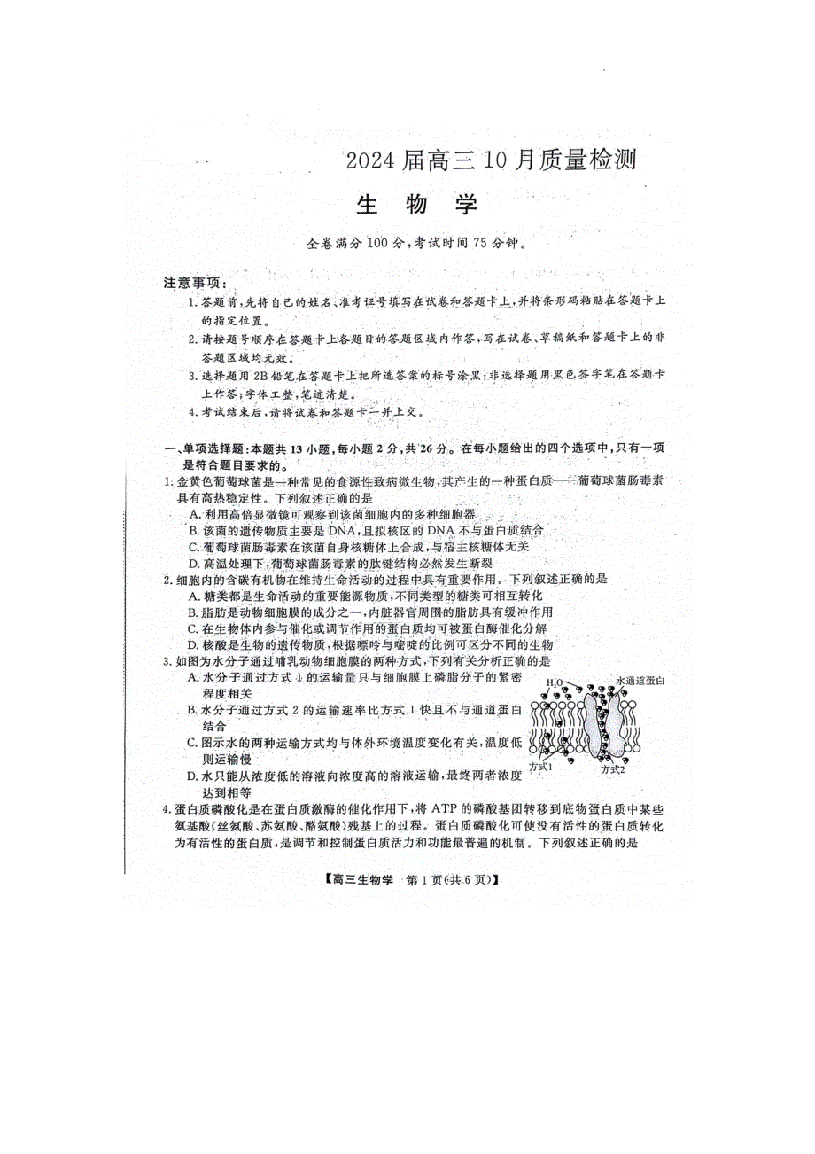 河北省部分学校2023-2024学年高三生物上学期10月联考试题（pdf含解析）.pdf_第1页