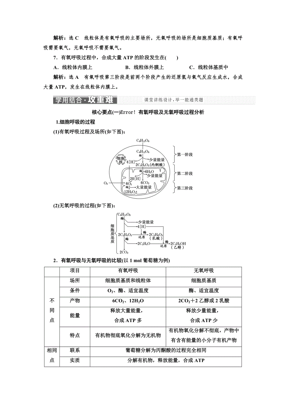 2018-2019学年生物同步苏教版必修1学案：第四章 第三节 第1课时　细胞呼吸产生能量及细胞呼吸的过程 WORD版含解析.doc_第3页