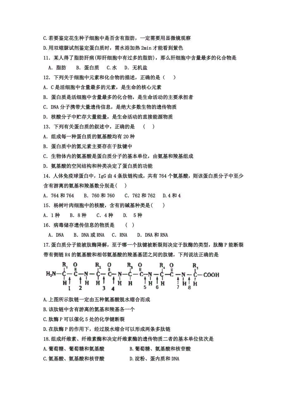 河北省馆陶县第一中学2016-2017学年高一11月月考生物试题 WORD版含答案.doc_第3页