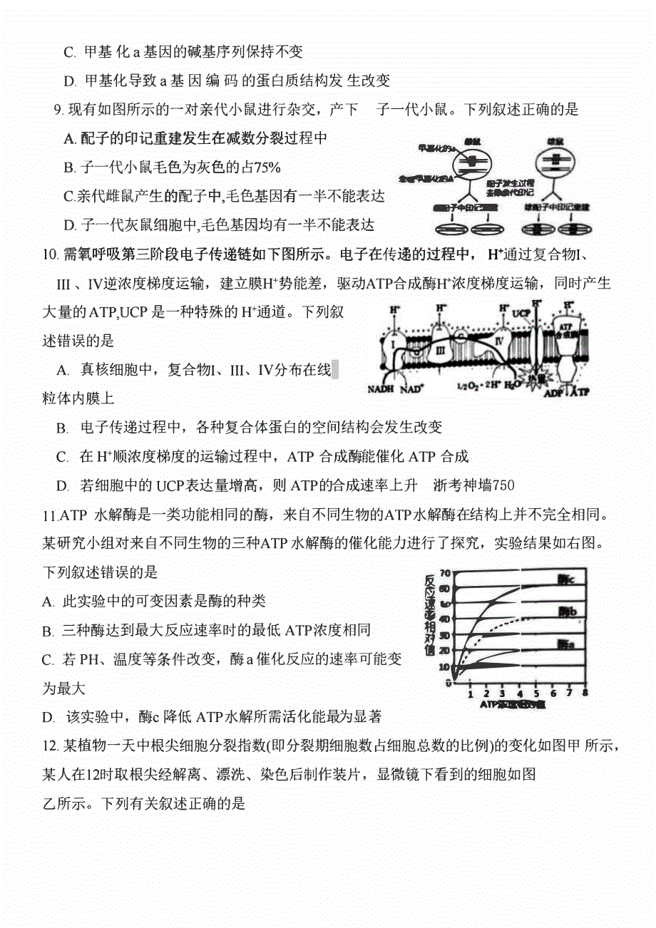 浙江省绍兴2023-2024高三生物上学期11月选考科目诊断性考试试题(pdf).pdf_第3页