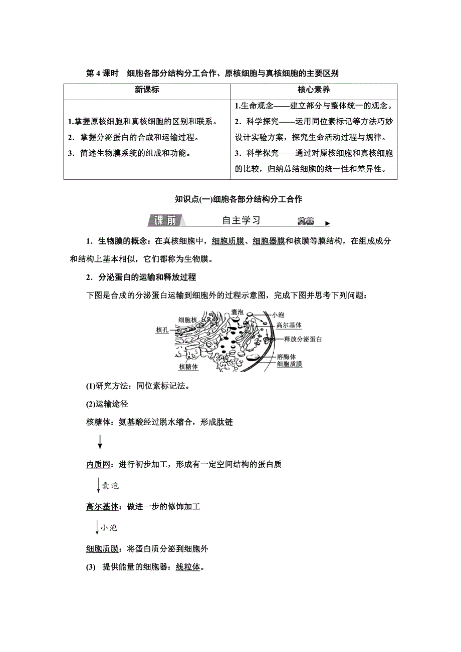 2021-2022新教材生物苏教版必修1学案：2-2 第4课时　细胞各部分结构分工合作、原核细胞与真核细胞的主要区别 WORD版含解析.doc_第1页