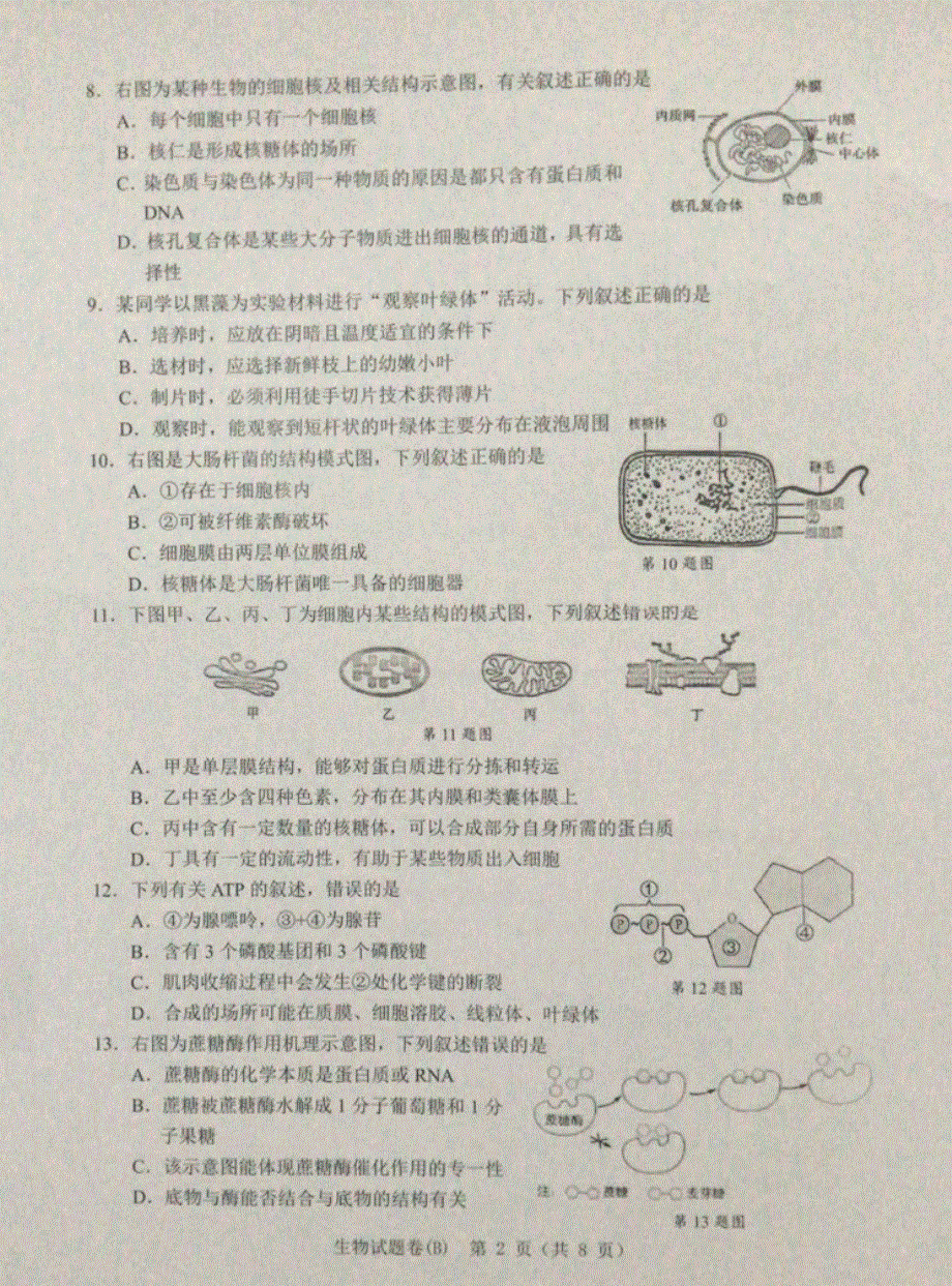 浙江省温州市2019-2020学年高一上学期期末教学质量统一检测生物试题（B） PDF版含答案.pdf_第2页