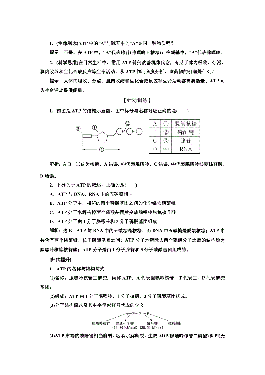 2021-2022新教材生物苏教版必修1学案：3-1 第3课时　ATP是驱动细胞生命活动的直接能源物质 WORD版含解析.doc_第2页