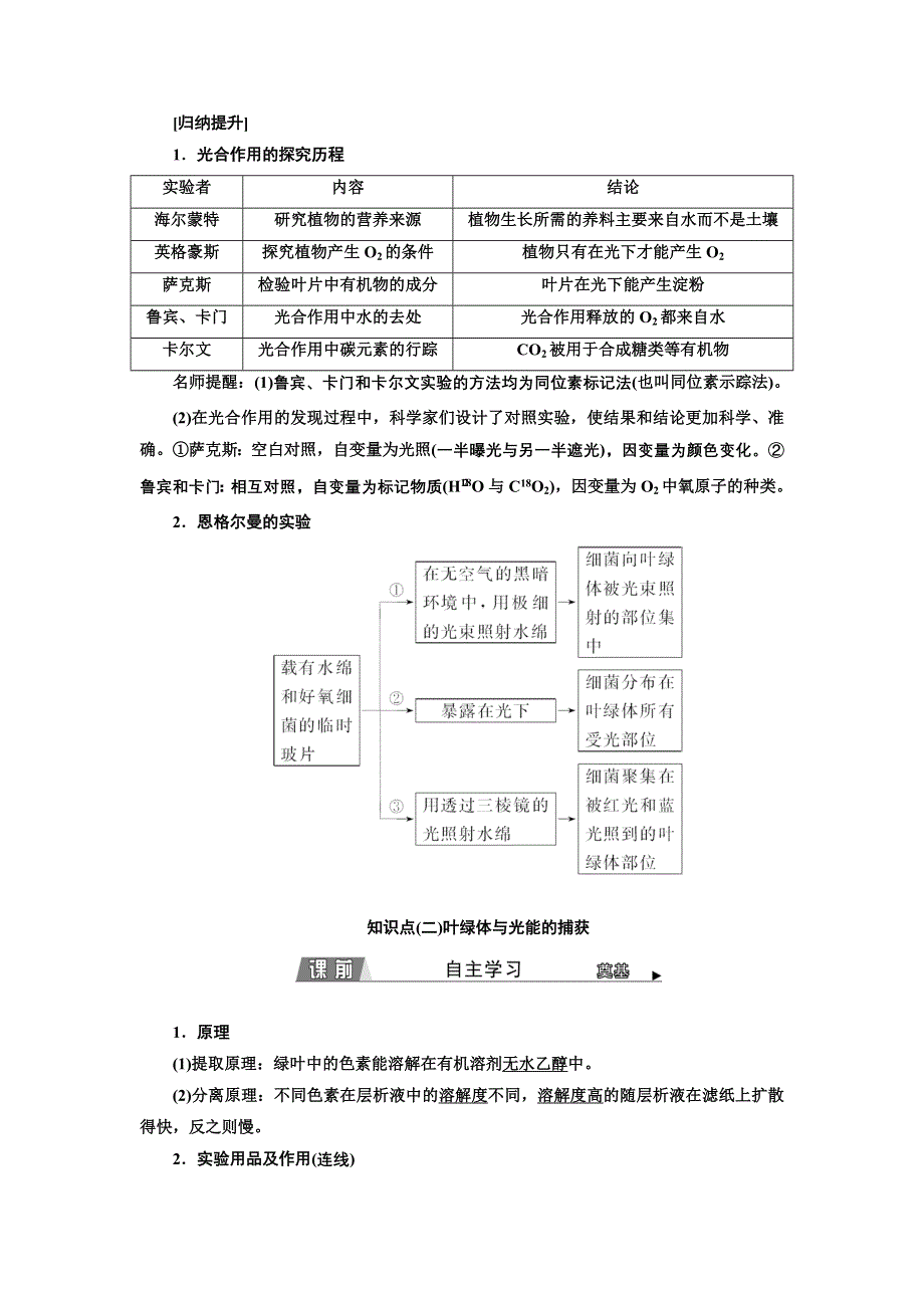 2021-2022新教材生物苏教版必修1学案：3-2 第1课时　叶绿体与光能的捕获 WORD版含解析.doc_第3页