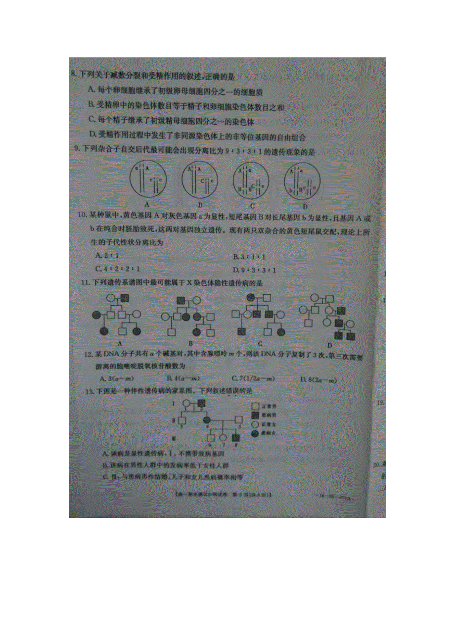 山东省济南市2015-2016学年高一下学期期末考试生物试题 扫描版缺答案.doc_第2页