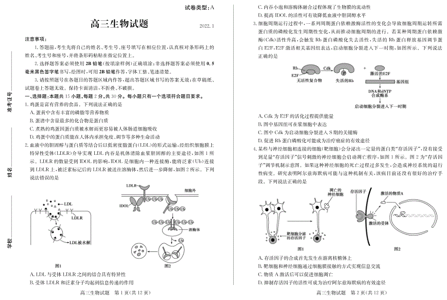 山东省滨州市2022届高三上学期期末考试生物试题 PDF版含答案.pdf_第1页