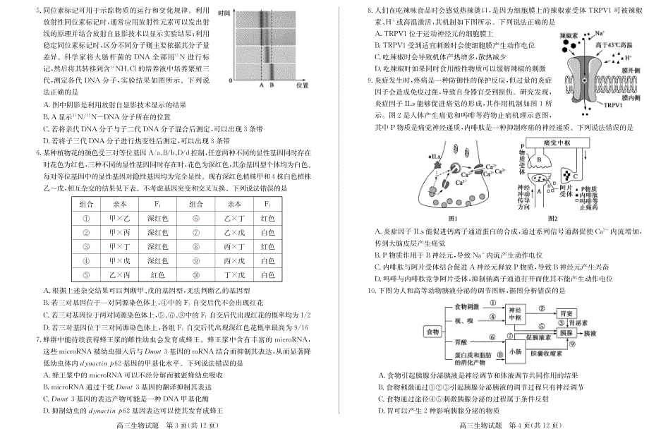 山东省滨州市2022届高三上学期期末考试生物试题 PDF版含答案.pdf_第2页