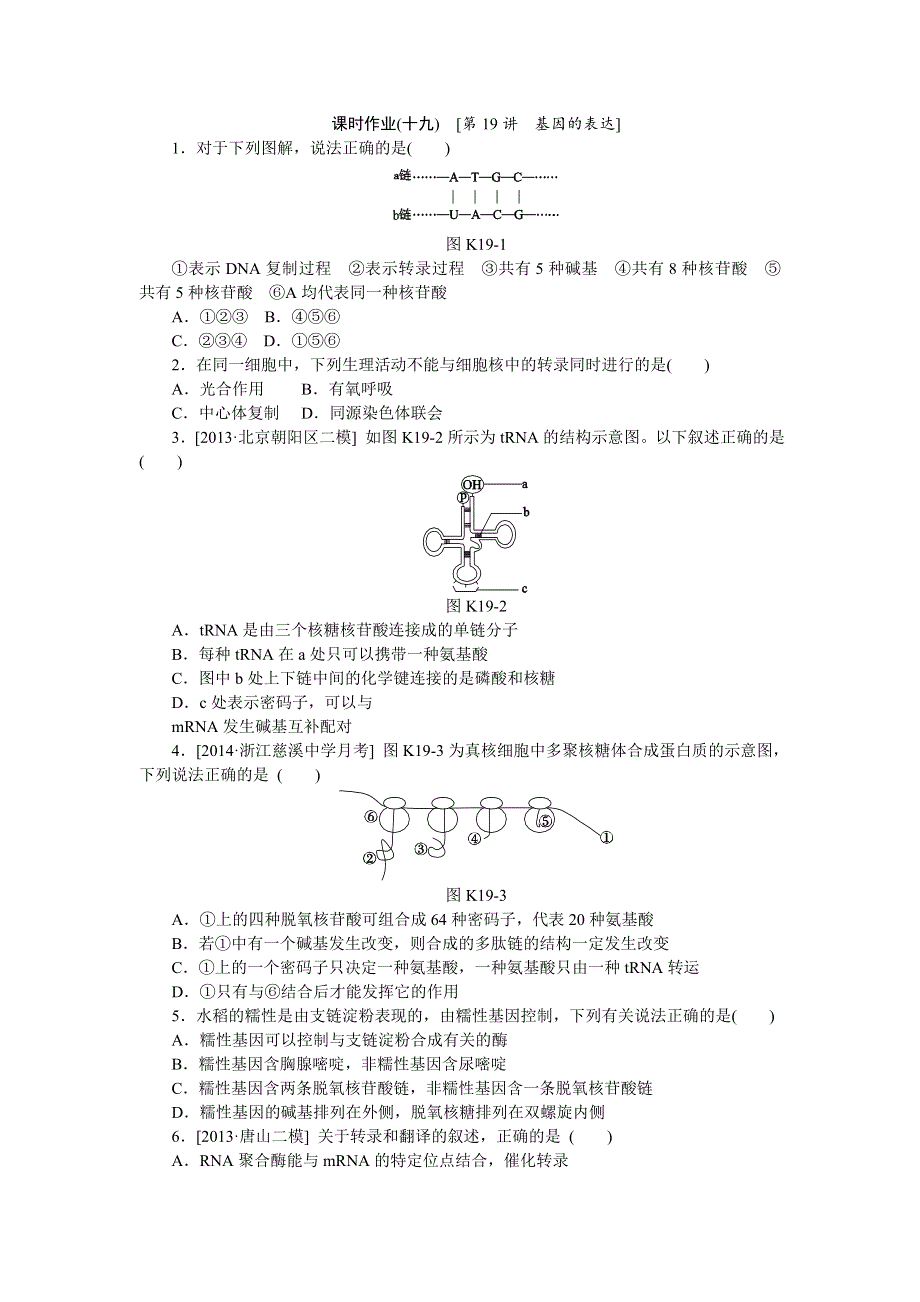 2015届高考生物一轮复习（安徽专用）课时作业：第19讲 基因的表达 WORD版含解析.doc_第1页