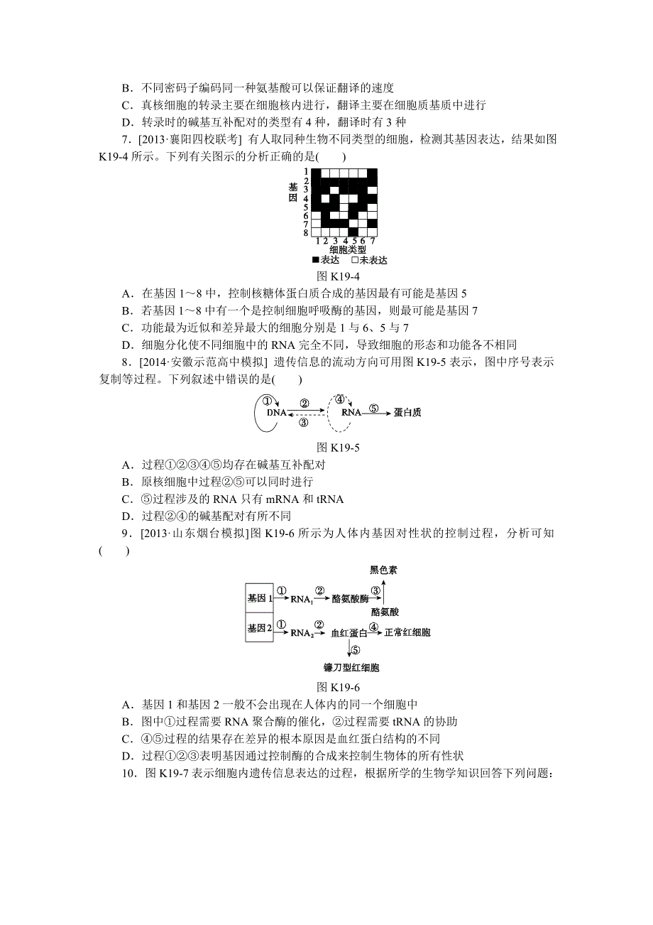 2015届高考生物一轮复习（安徽专用）课时作业：第19讲 基因的表达 WORD版含解析.doc_第2页