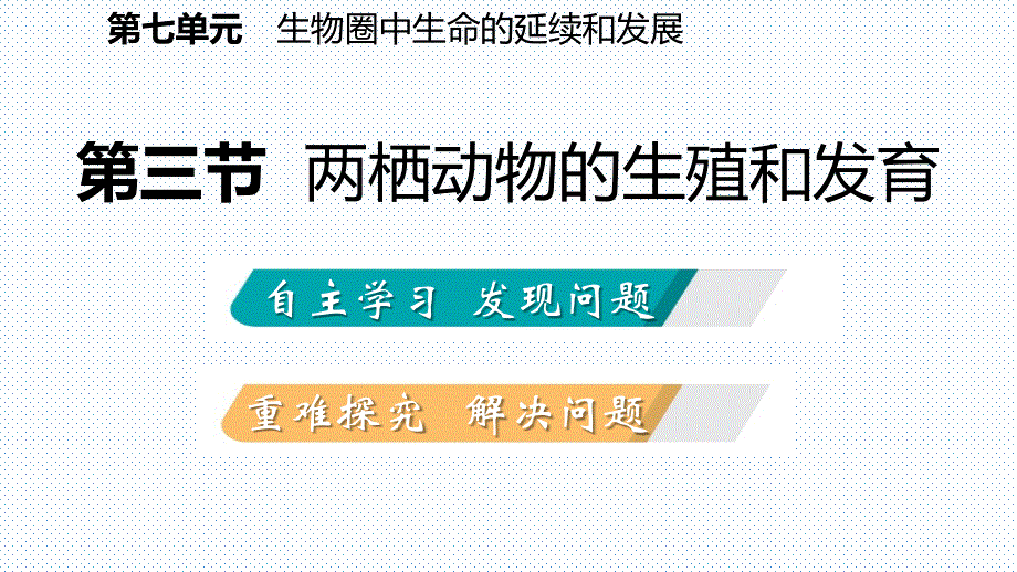 人教版八年级生物下册同步导学课件：第七单元 第一章 第三节　两栖动物的生殖和发育.pptx_第2页