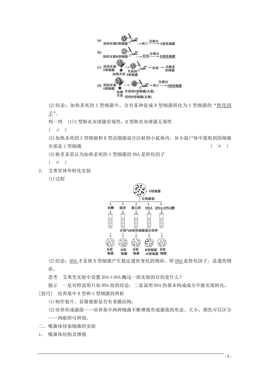 2014年高考生物大一轮复习 第六单元 第18讲 DNA是主要的遗传物质教案.DOC_第2页