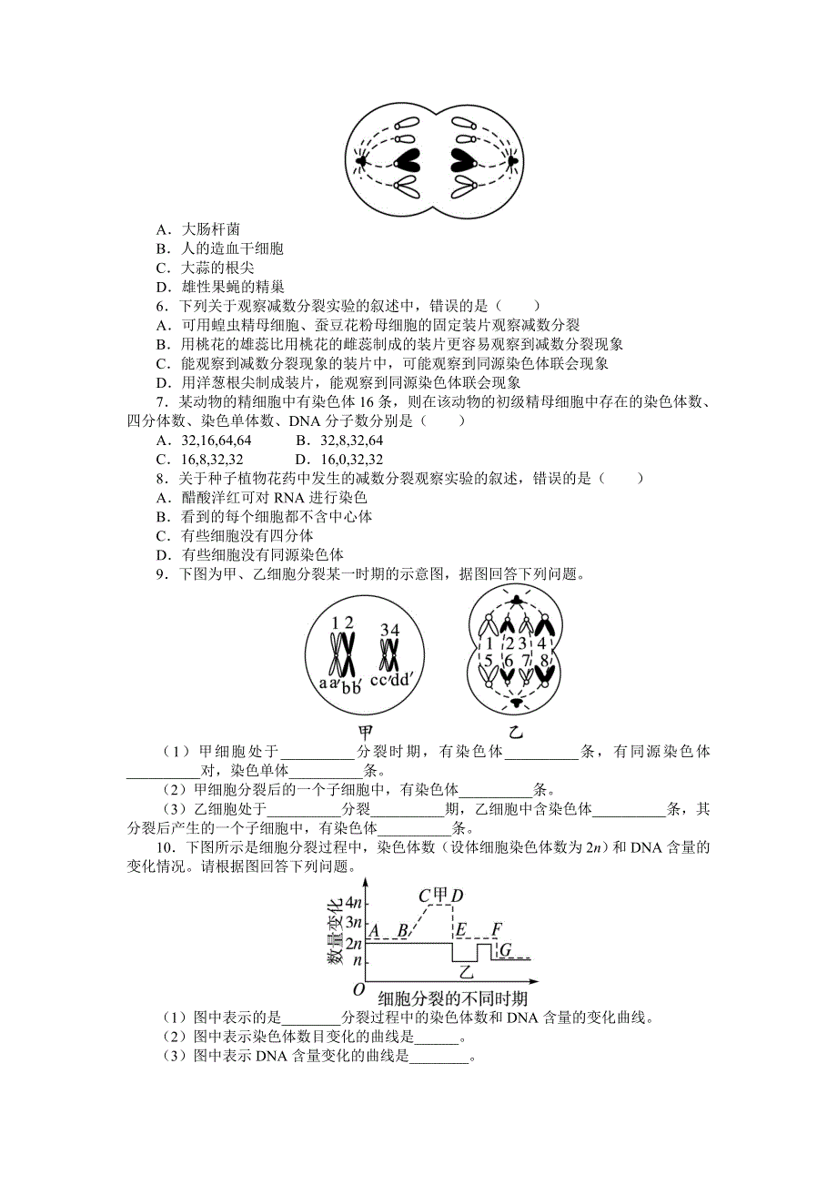 生物苏教版必修2课后训练：第二章第一节　减数分裂第一课时 WORD版含解析.DOC_第2页