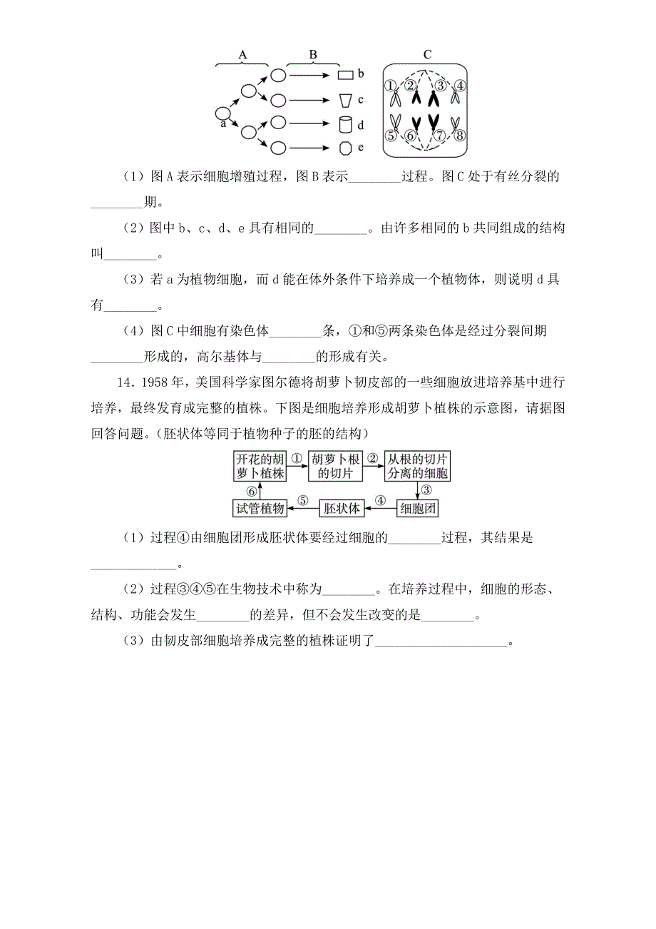 生物（中图版）必修一同步自我小测：细胞的分化 .doc_第3页