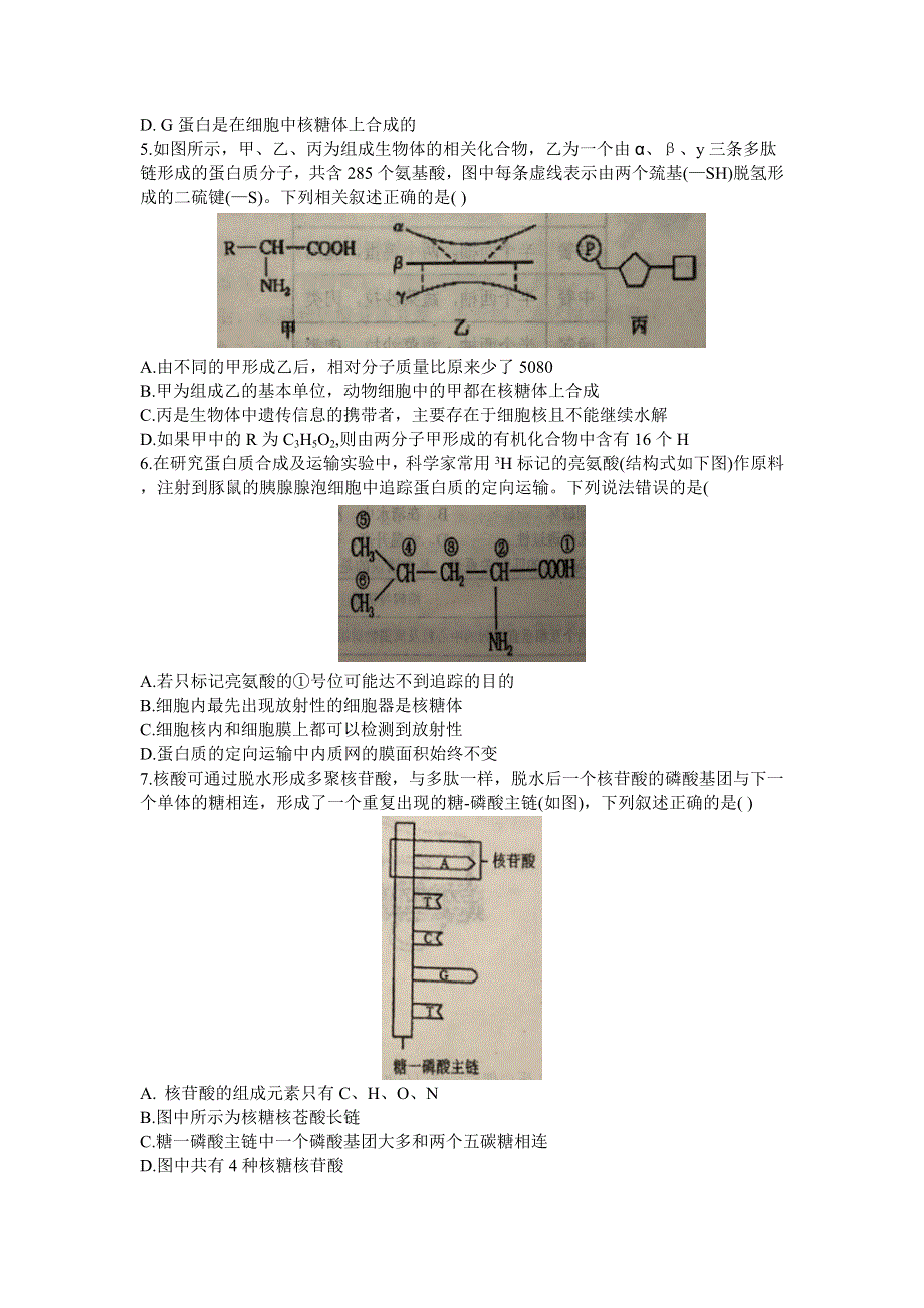 安徽省六安市第一中学2020-2021学年高一上学期第二次段考生物试题 WORD版含答案.docx_第2页