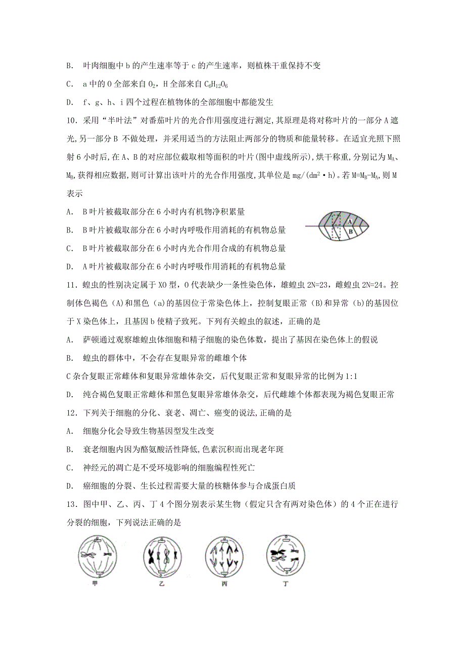 福建省泰宁第一中学2019届高三上学期第三阶段考试生物试卷 WORD版含答案.doc_第3页