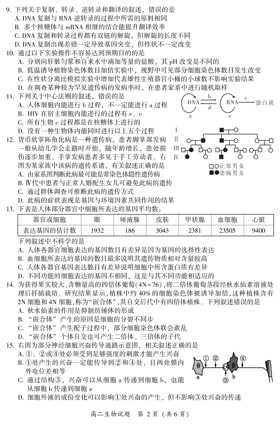 福建省漳州市2020-2021学年高二上学期期末考试生物试题 PDF版含答案.pdf_第2页