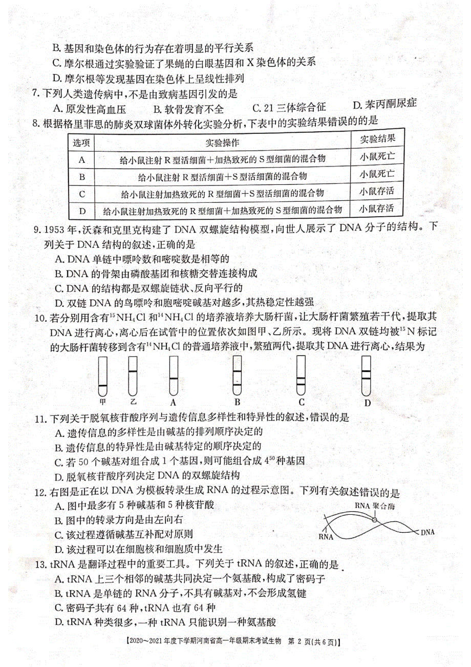 河南省2020-2021学年高一下学期期末考试生物试题 扫描版含答案.pdf_第2页