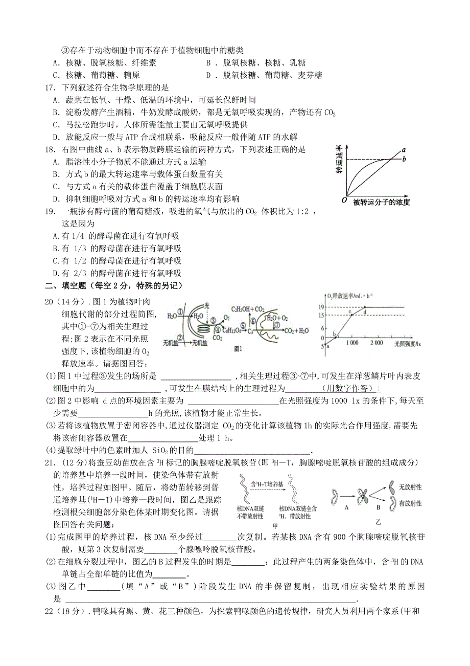 湖南省娄底市娄星区2020-2021学年高一生物下学期期中试题.doc_第3页