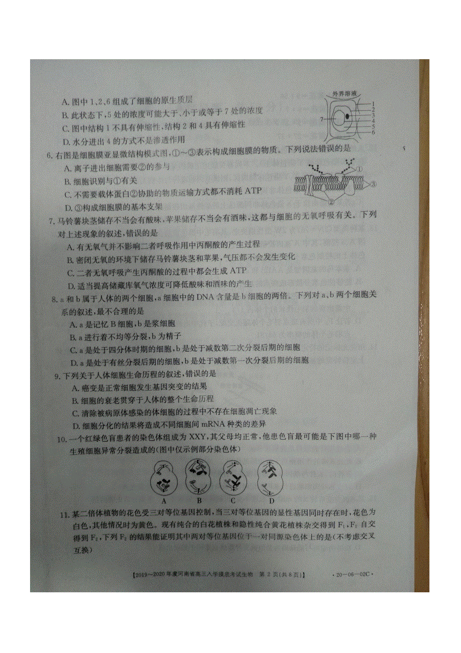 河南省2020届高三上学期入学摸底考试生物试题 PDF版含答案.pdf_第2页