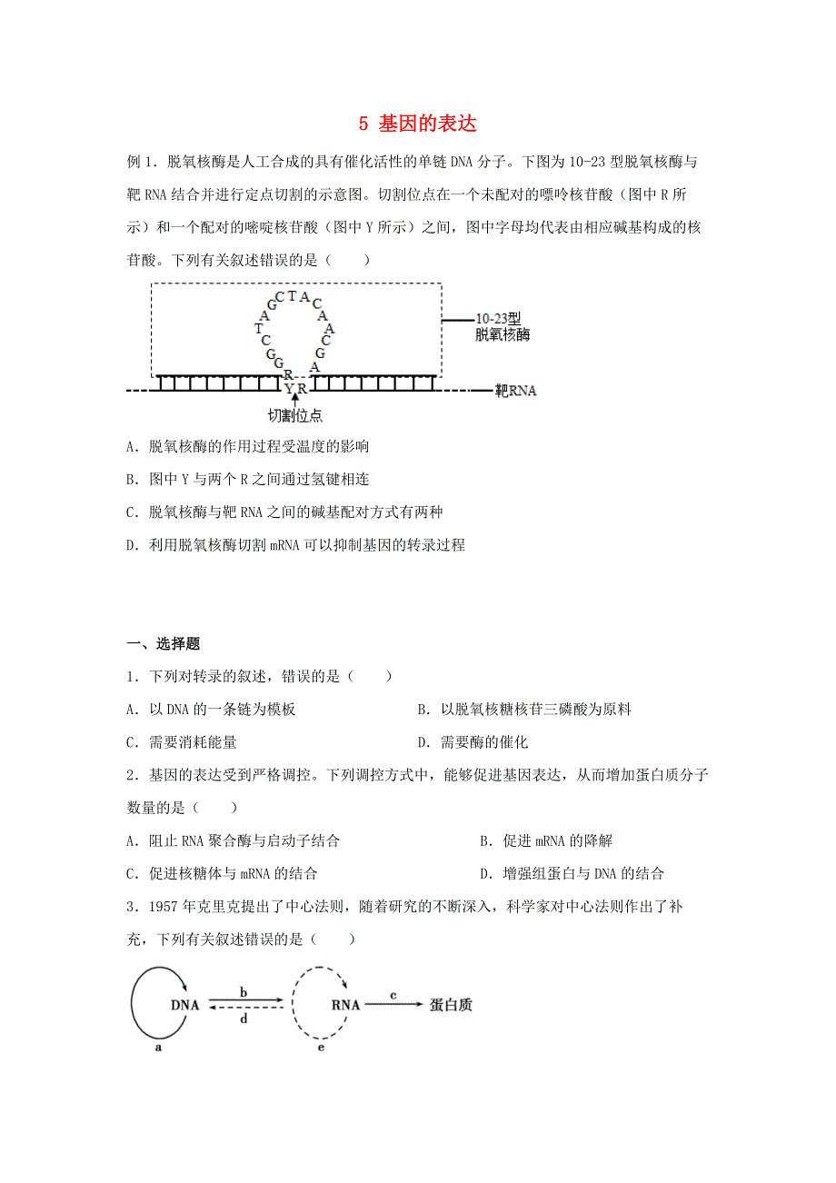 （新教材）2021-2022学年高一生物下学期暑假巩固练习5 基因的表达.docx_第1页