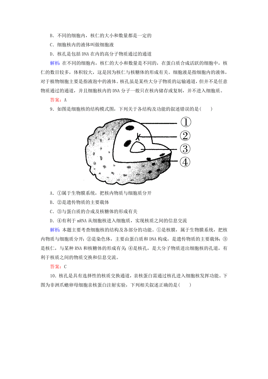 2021-2022高中生物人教版必修1作业：第三章第3节细胞核——系统的控制中心 （系列四） WORD版含解析.doc_第3页