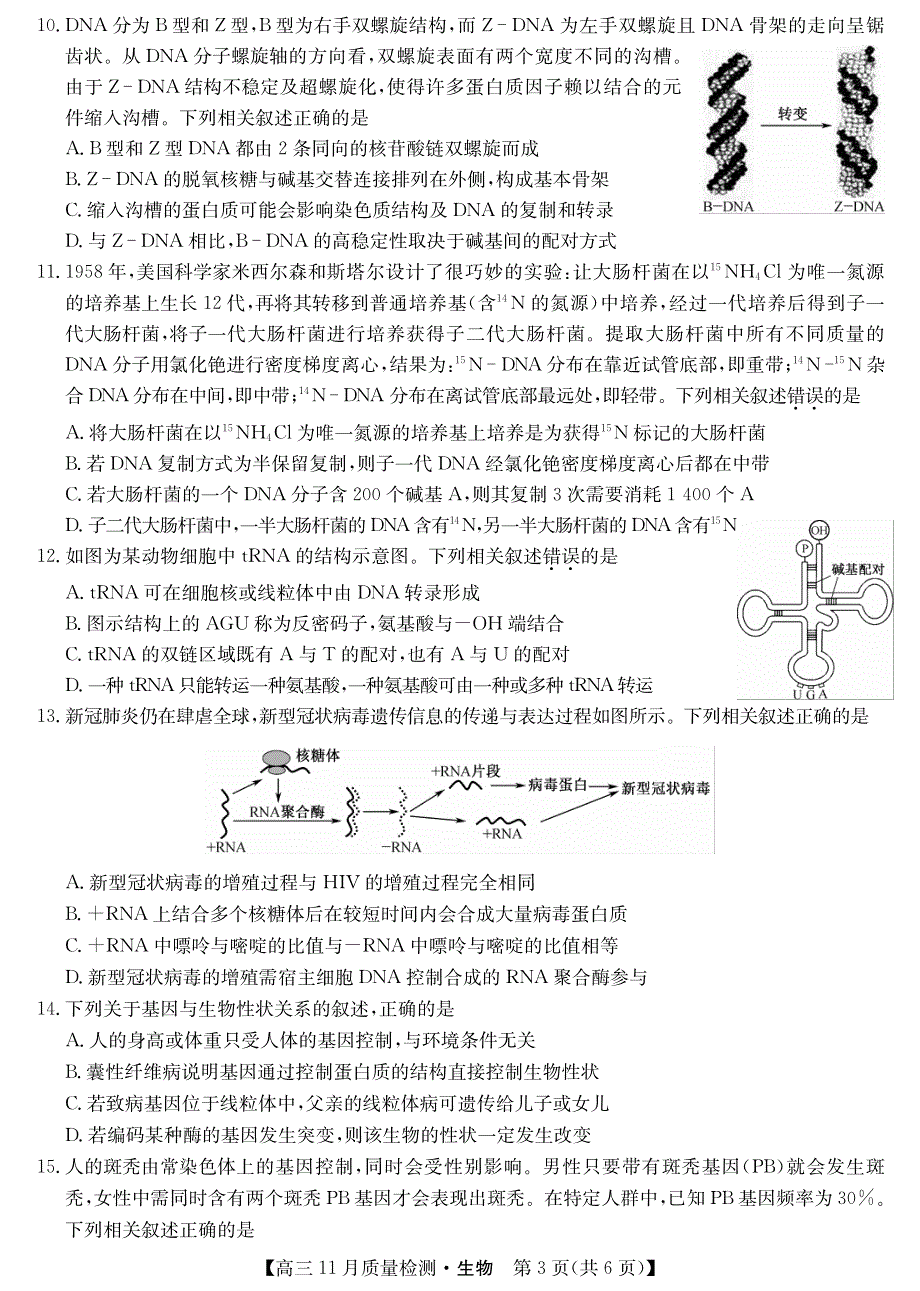 河南省2022届高三上学期11月质量检测生物试卷 PDF版含答案.pdf_第3页