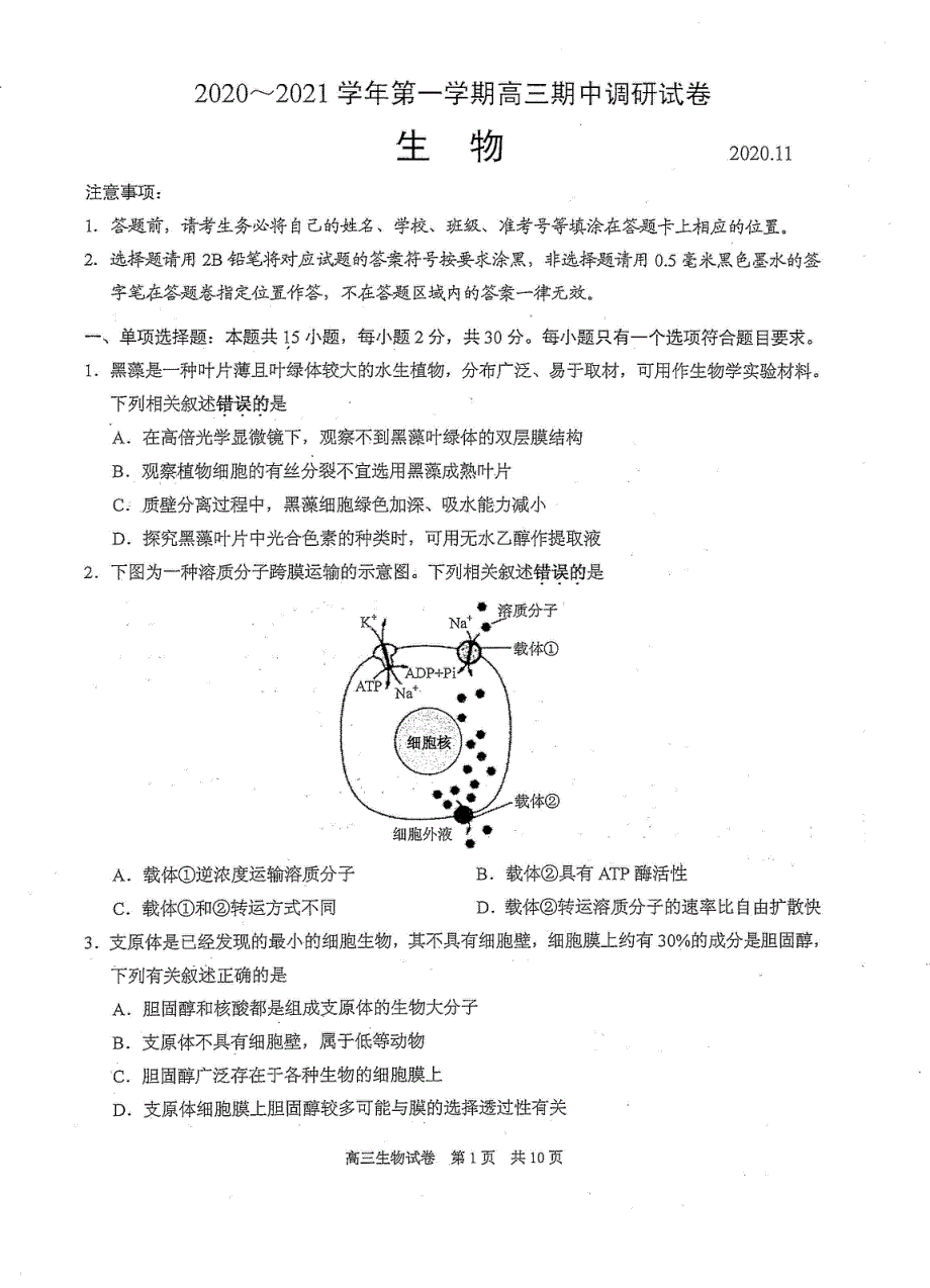 江苏省陆慕高级中学2021届高三上学期期中调研考试生物试卷 扫描版含答案.pdf_第1页