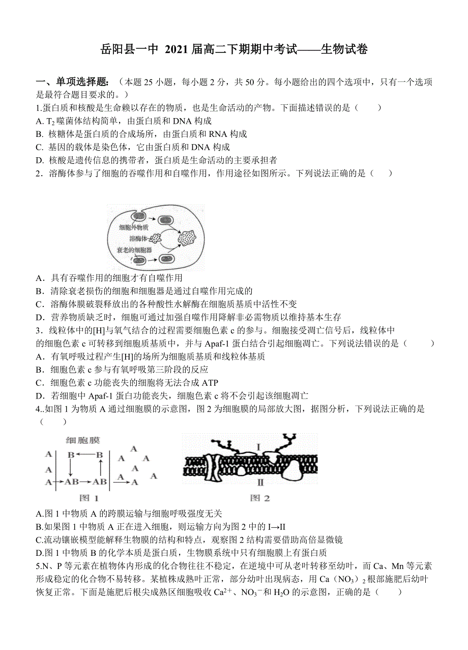 湖南省岳阳县第一中学2019-2020学年高二下学期期中考试生物试题 WORD版含答案.doc_第1页