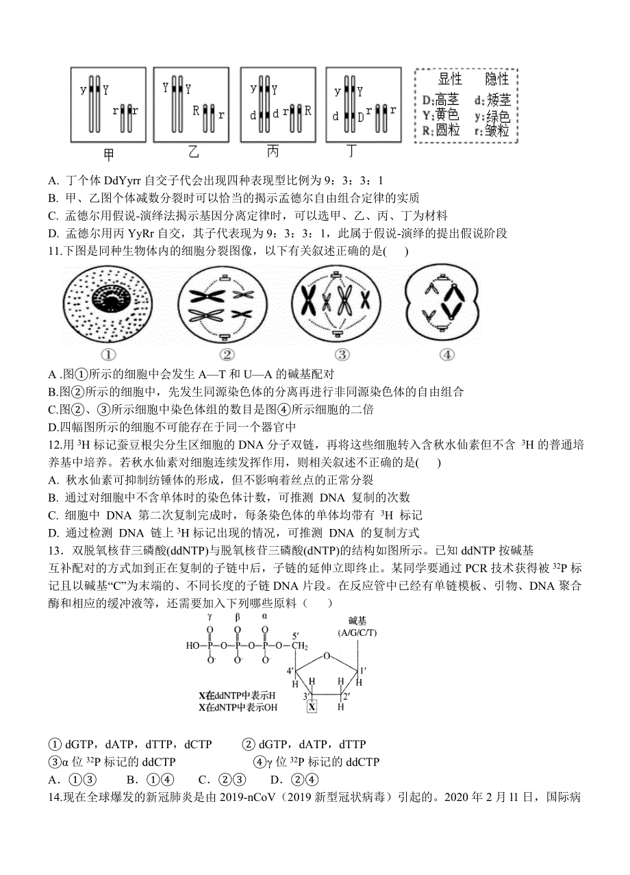 湖南省岳阳县第一中学2019-2020学年高二下学期期中考试生物试题 WORD版含答案.doc_第3页