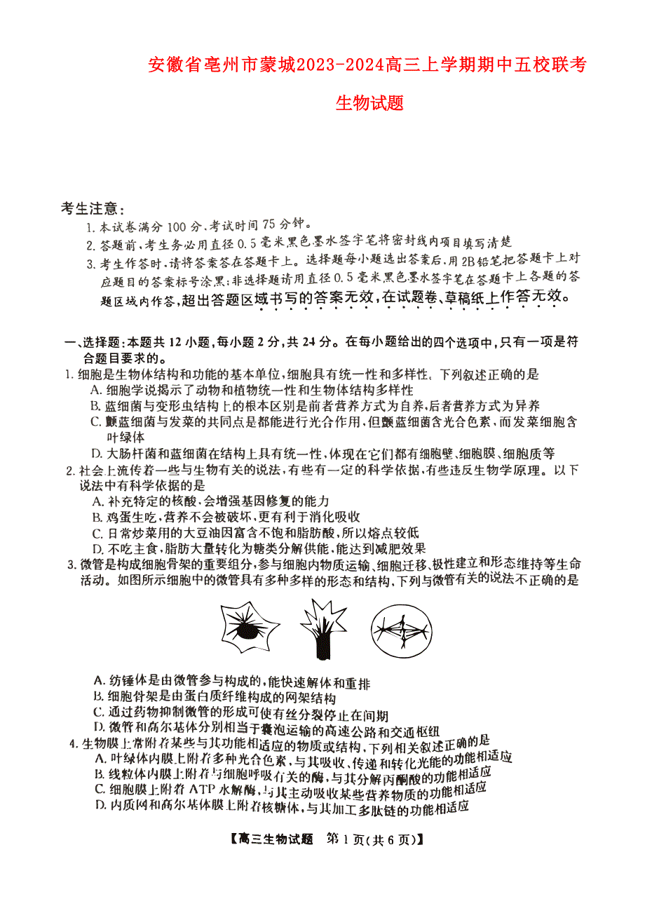 安徽省亳州市蒙城县2023-2024高三生物上学期11月期中考试试题(pdf).pdf_第1页