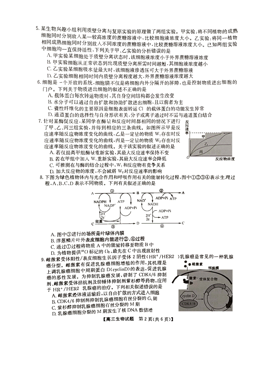 安徽省亳州市蒙城县2023-2024高三生物上学期11月期中考试试题(pdf).pdf_第2页