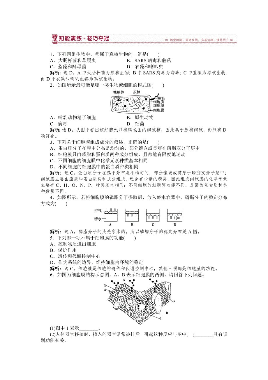 2018-2019学年高中生物苏教版必修1：第三章第二节第1讲原核细胞和真核细胞　细胞膜和细胞壁 知能演练 WORD版含解析.doc_第1页