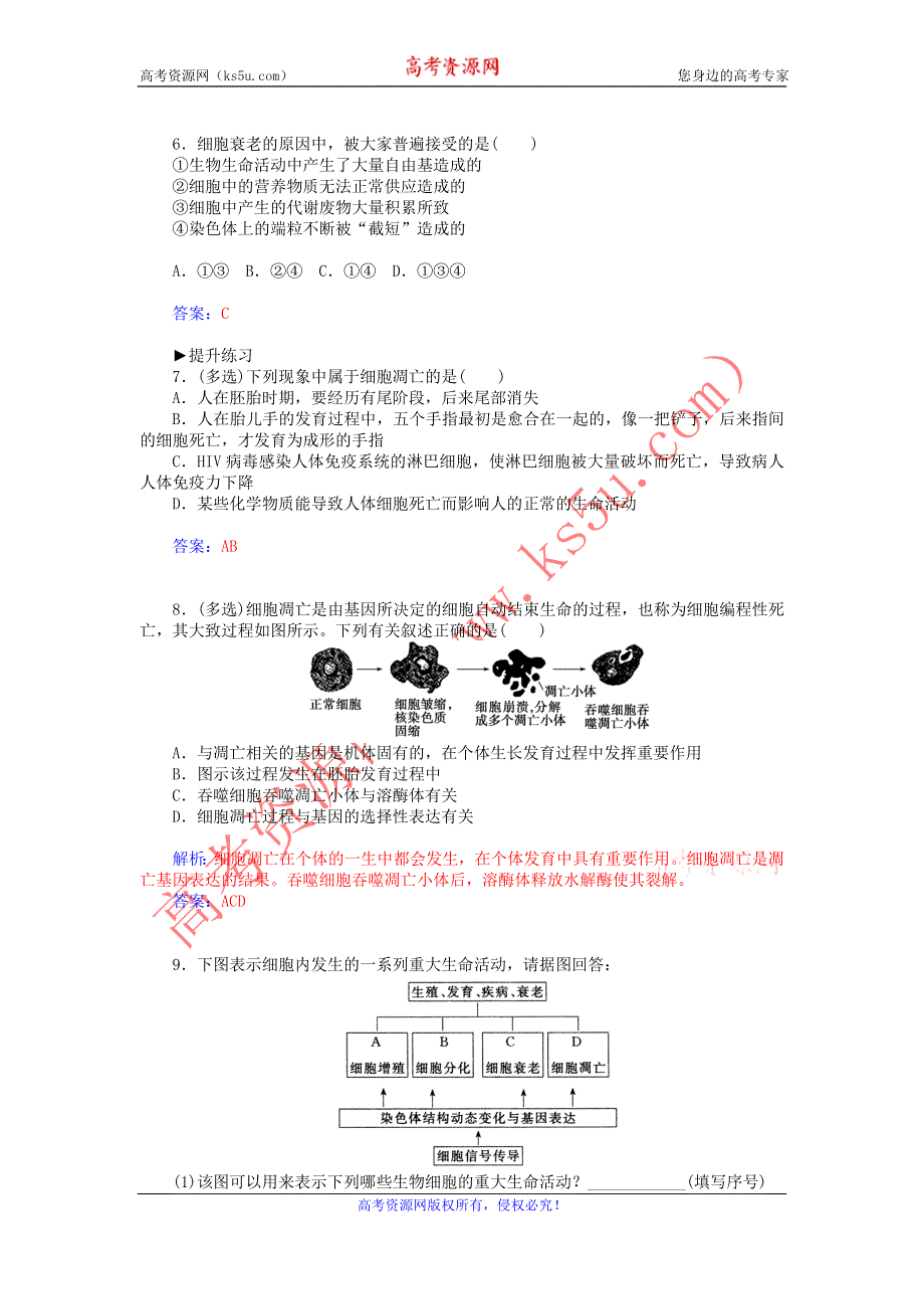 2015高一生物知能演练：第6章 第3节 细胞的衰老和凋亡（人教版必修1） .doc_第2页