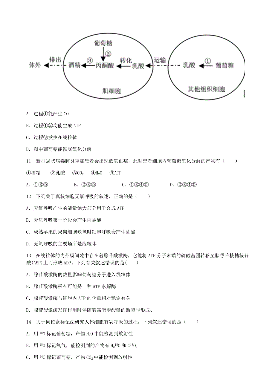 安徽省六安中学2019-2020学年高一生物下学期期中试题.doc_第3页