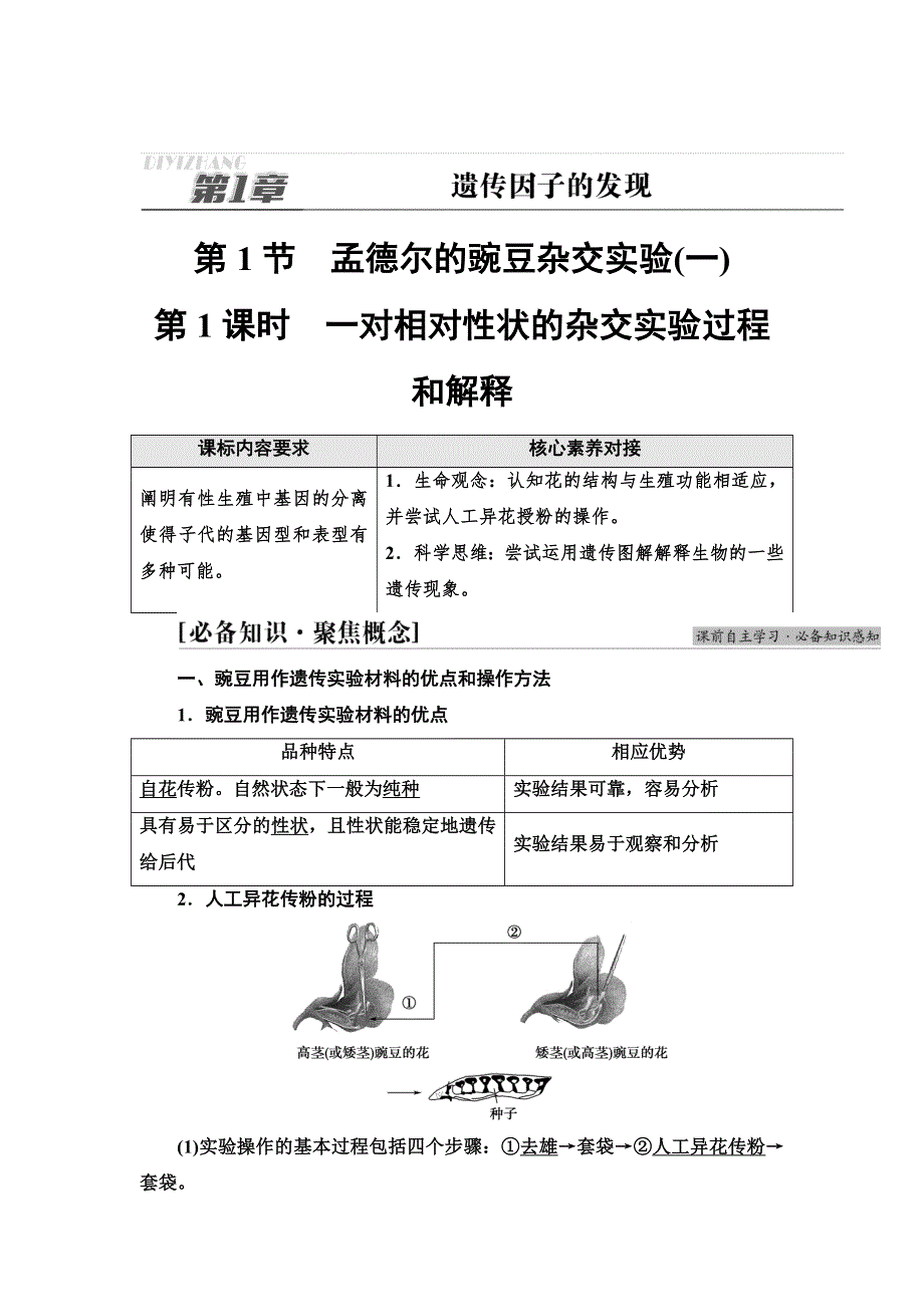 新教材2021-2022同步人教版生物学必修2学案：第1章 第1节　第1课时　一对相对性状的杂交实验过程和解释 WORD版含答案.doc_第1页